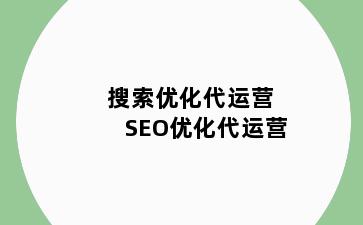 搜索优化代运营 SEO优化代运营